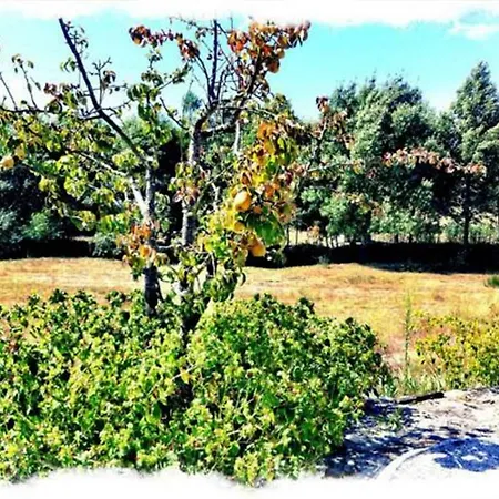 Casa De Malhoes 度假居