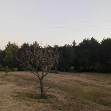 Casa De Malhoes Vilares