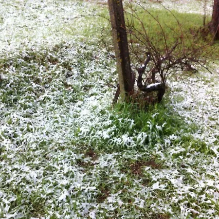 Casa De Malhoes * Vilares