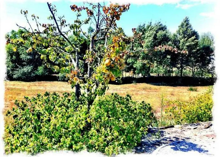 Casa De Malhoes Hébergement de vacances