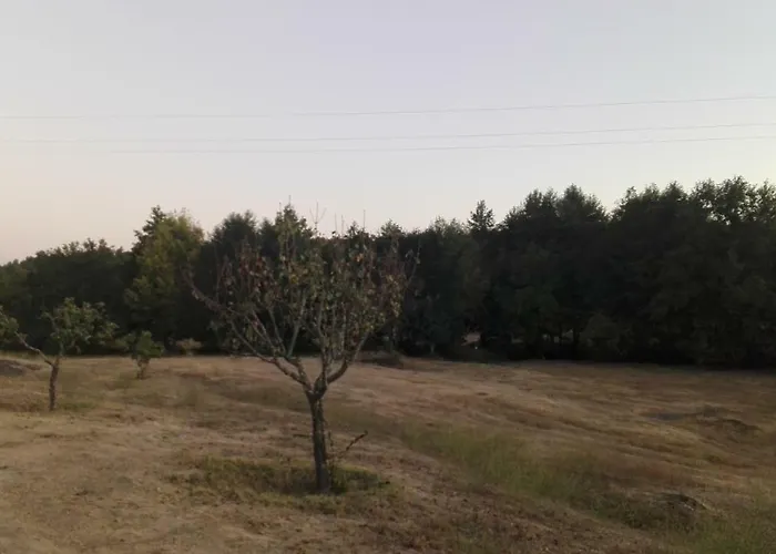 Casa De Malhoes Vilares