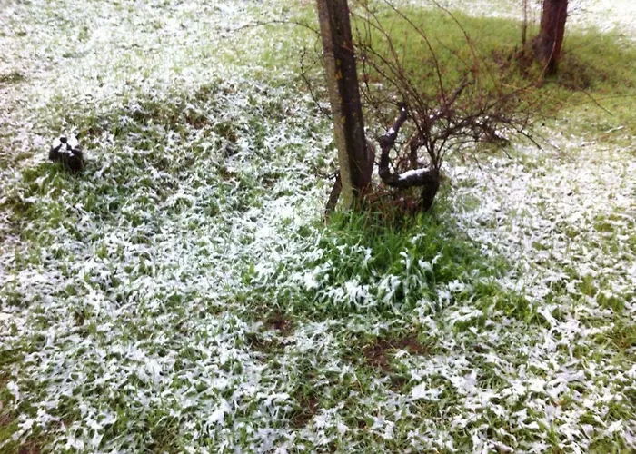 Casa De Malhoes * Vilares